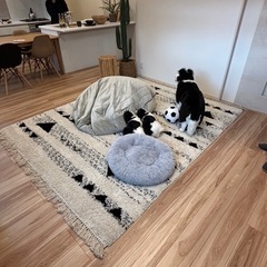 受付一旦終了(無料)ベニワレン柄 ラグ200×250cmの画像