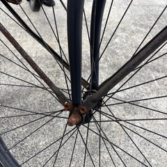 Rainbow社・29インチ・
ビーチクルーザーの画像