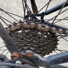 Rainbow社・29インチ・
ビーチクルーザーの画像