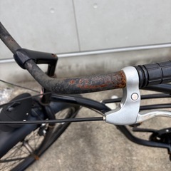 Rainbow社・29インチ・
ビーチクルーザーの画像