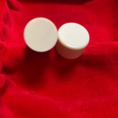 本象牙　15mm×45mm ケースはワニ革 最高級印材　の画像