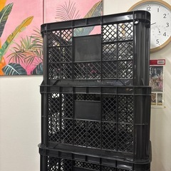 コンテナ みかん ミカン 収穫 カゴの画像