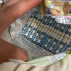 ワンチャン用マナーウェア男の子Mサイズの画像