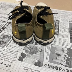 ヴァンズ靴の画像