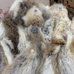 ラビットファーベストフリーさいすサイズの画像