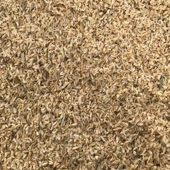 籾殻　もみ殻の画像