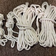 コールマン　ヘキサタープ　Mの画像