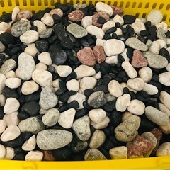 玉砂利 2カゴ分の画像