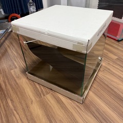 cube 40.40.40水槽の画像