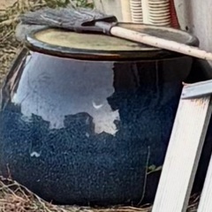 無料　植木鉢と金魚用陶器差し上げますの画像