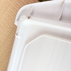 衣装ケース　約21×37.5×74cmホワイト　の画像