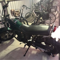 人気の2型ディスクブレーキモデル！ スカチューン TW200Eの画像