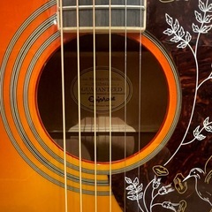 アコースティックギター Epiphone Hummingbird PRO の画像