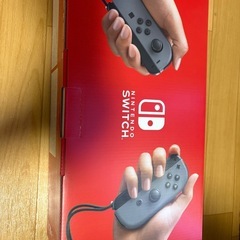 Nintendo Switchグレー本体 ジャンクの画像