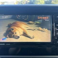 スペーシアギアHVターボ★美品★人気カラー上位希少モデル【ハイブリッド-XZターボ】サポカー安全装備多数・車間制御クルコン・ストラーダナビ・フルセグ・Bカメの画像