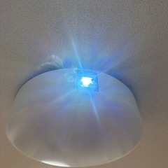 popIn Aladdin 2（ポップイン アラジン 2）の画像