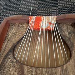 和楽器　　琴の画像