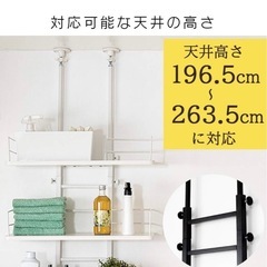 アイリスプラザ　ランドリーラックの画像