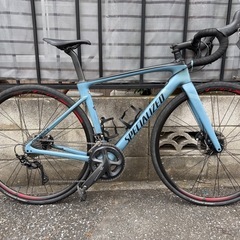SPECIALIZED 2020 ROUBAIX SPORTの画像