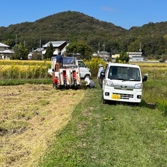 残り僅か　令和7年　
新米　玄米　ヒノヒカリ　30kg の画像