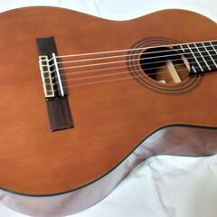 クラシックギター トップ板にセダー単板を使用した本格派　アリア Aria A-20 の画像