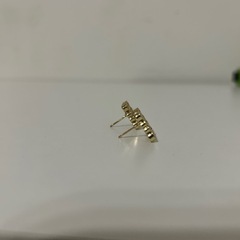 ロエベロゴピアスの画像