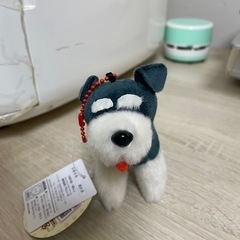 シュナとボブ　すたんだっぷ の画像