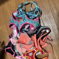 ペット　ハーネス　リードの画像