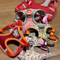 ペット　ハーネス　リードの画像