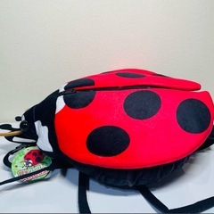 【新品】昆虫リュック〜てんとう虫の画像