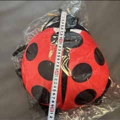 【新品】昆虫リュック〜てんとう虫の画像