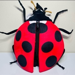 【新品】昆虫リュック〜てんとう虫の画像
