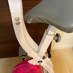 エアロバイク➕ALFITSマットの画像