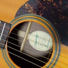 Blueridge BR160 の画像