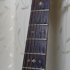 Blueridge BR160 の画像