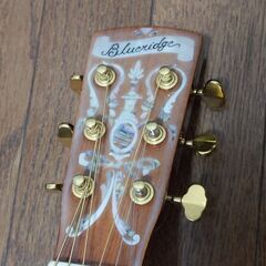 Blueridge BR160 の画像