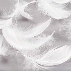 造花の花びらとフェザーとメッシュバックのセットの画像