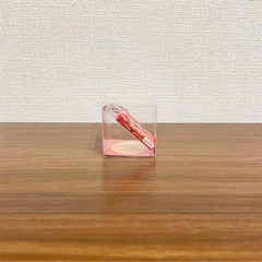 新品未使用 LOTTE トッポ ミニチュアマスコット キーホルダー の画像