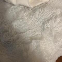 ふわふわブランケットとシーツセット（無料）の画像