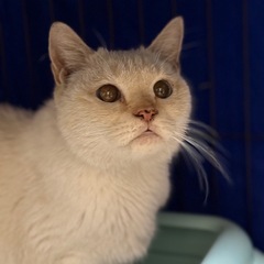 弱ってるところを保護しました！