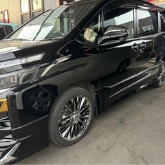 RAYS VERSUS STRATAGIA VOUGE + FORTUNA ECOPLUS UHP レイズ ベルサスの画像