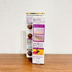 新品未使用 ビゲン グレイヘア トリートメント カラースプレー 2点セットの画像