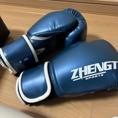 グローブ　サンドバッグセットの画像