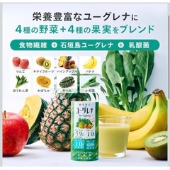 【新品】からだにユーグレナ グリーンスムージー 無添加 乳酸菌 美容と健康 紙容器の画像