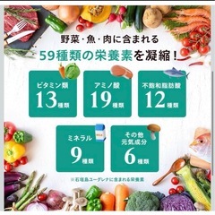 【新品】からだにユーグレナ グリーンスムージー 無添加 乳酸菌 美容と健康 紙容器の画像