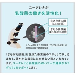 【新品】からだにユーグレナ グリーンスムージー 無添加 乳酸菌 美容と健康 紙容器の画像