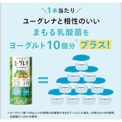 【新品】からだにユーグレナ グリーンスムージー 無添加 乳酸菌 美容と健康 紙容器の画像