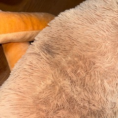 コストコ クマ
の画像