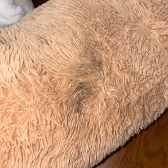 コストコ クマ
の画像