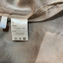 オーガンジーシャツ
の画像